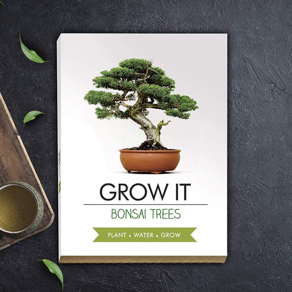 Levně Grow it - Bonsai