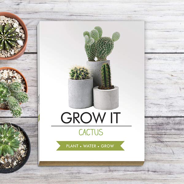 Levně Grow it - kaktus