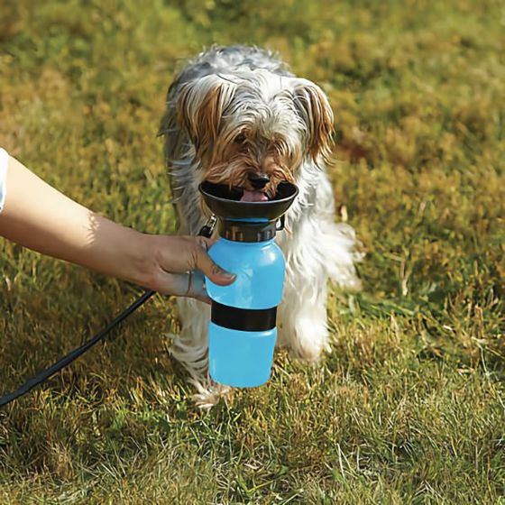 Cestovní láhev na vodu pro psy