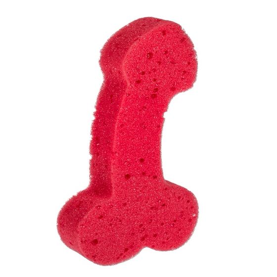 Koupelová houba penis